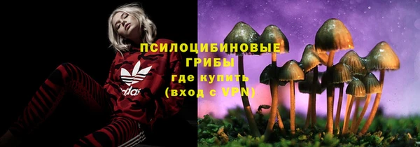 мяу мяу мука Киренск